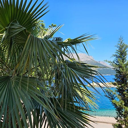 Villa Jade Apartments Front Row Sea View - Walk To Korcula Old Town Medvinjak Eksteriør bilde