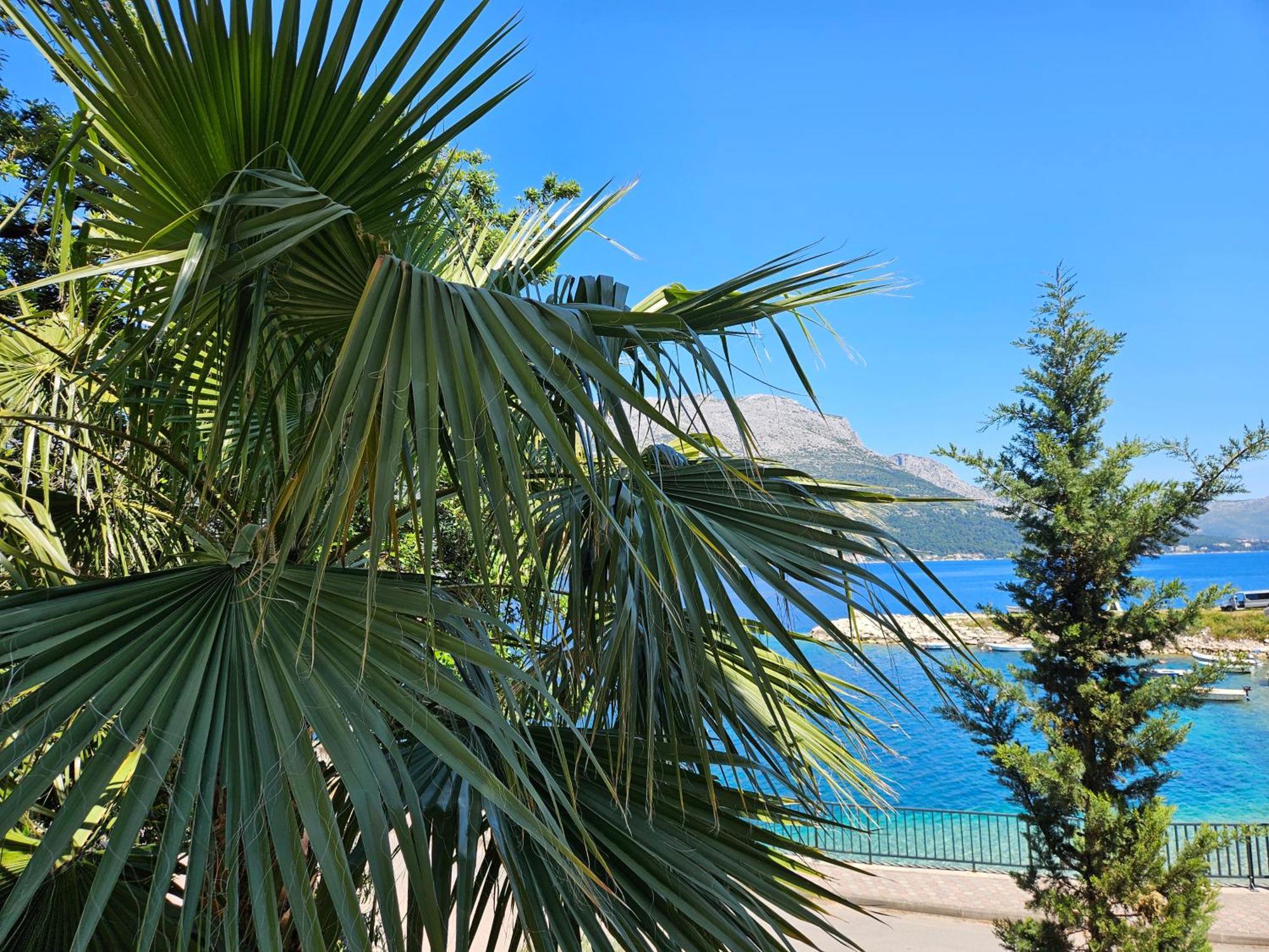 Villa Jade Apartments Front Row Sea View - Walk To Korcula Old Town Medvinjak Eksteriør bilde