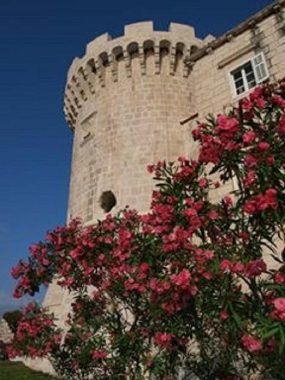 Villa Jade Apartments Front Row Sea View - Walk To Korcula Old Town Medvinjak Eksteriør bilde