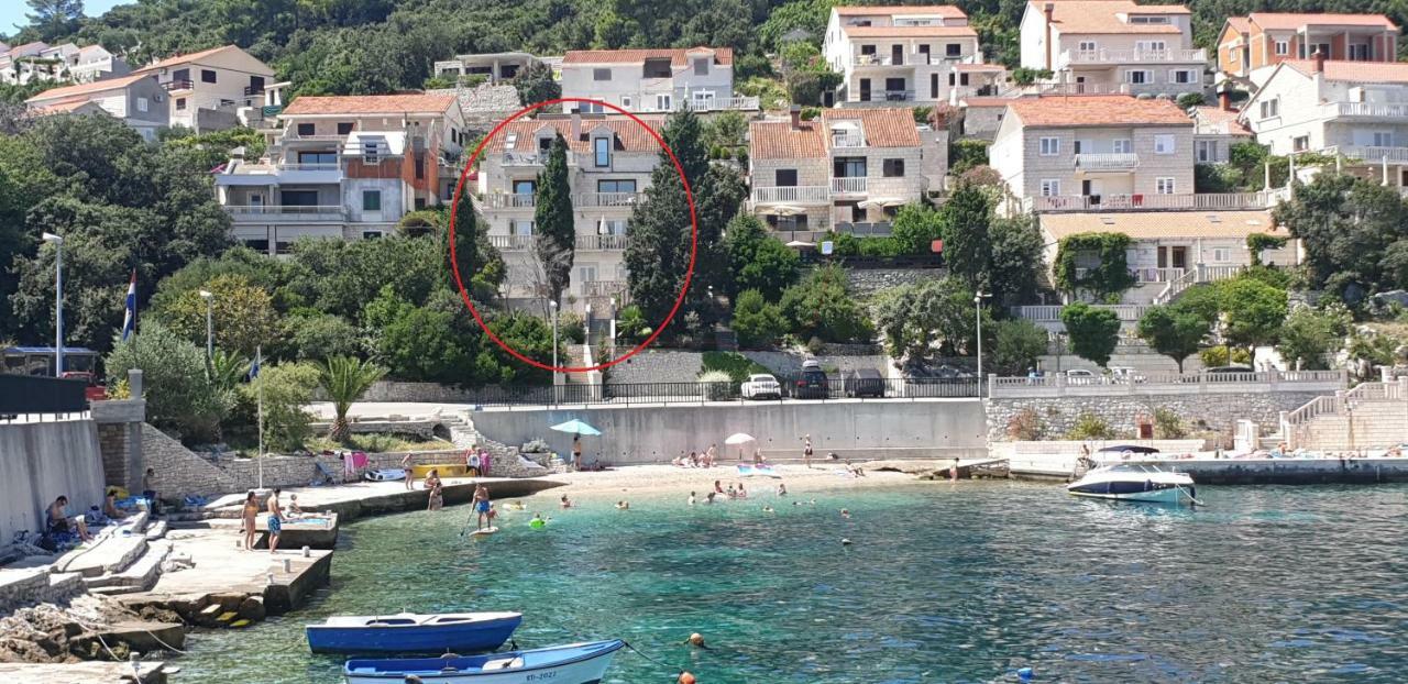 Villa Jade Apartments Front Row Sea View - Walk To Korcula Old Town Medvinjak Rom bilde